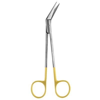 DENTEL SCISSORS